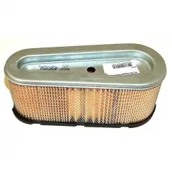FILTR POWIETRZA BRIGGS & STRATTON 496894 | Hit cenowy
