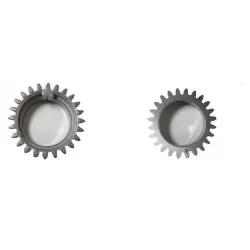 Top oferta | KOŁO WAŁU KORBOWEGO BRIGGS 797521 24Z